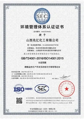 Certification Certificate Certification Certificate