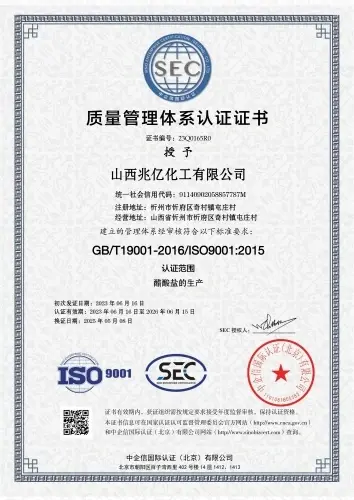 Certification Certificate
