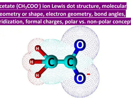 The organic acetate anion