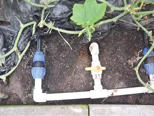 Fertilizer solid potassium