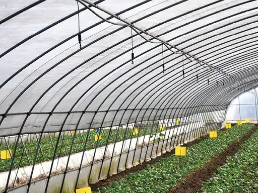 used in complete fertility 