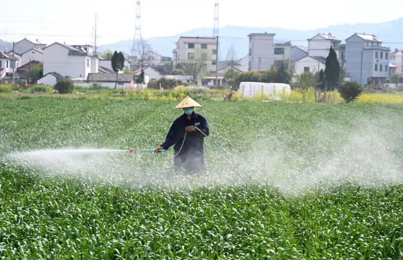 Potassium Acetate Potassium Acetate