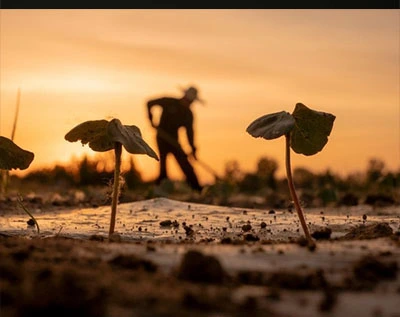 farming group farming group