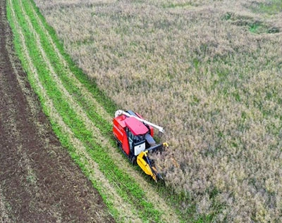 plant field crops plant field crops