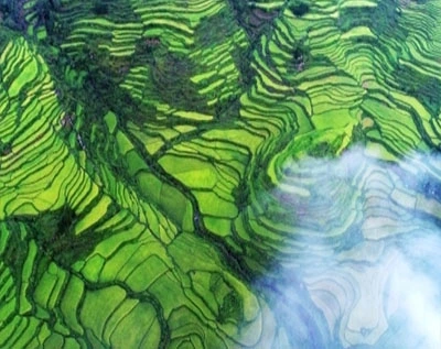 Environmental Compliance