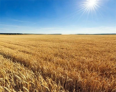 Farmers' goods Farmers' goods