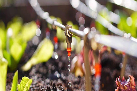 Water-soluble fertilizer drip irrigation