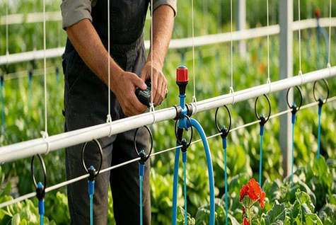 Water-soluble fertilizer drip irrigation