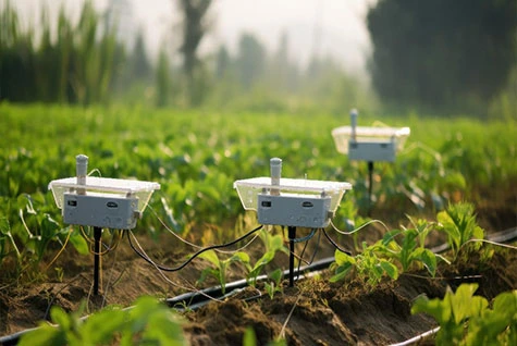 Water-soluble fertilizer drip irrigation