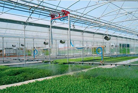 Water-soluble fertilizer drip irrigation