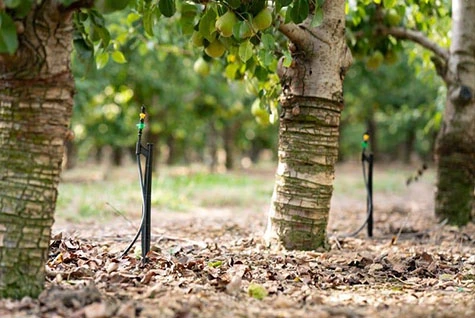 Orchard fertilization
