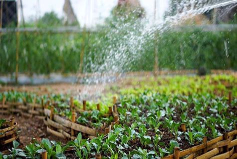 Application of Potassium Acetate in High-end Fertilizers