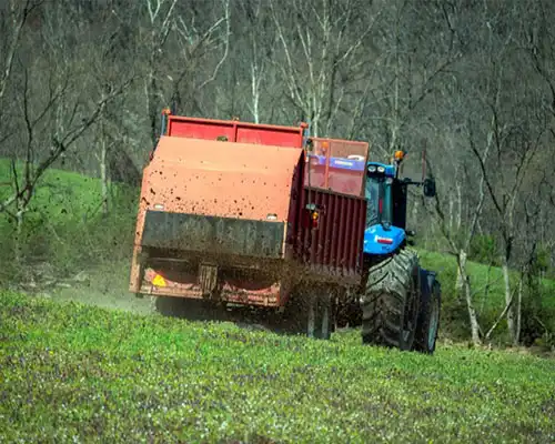 What Kind of Fertilizer is Potassium Acetate?