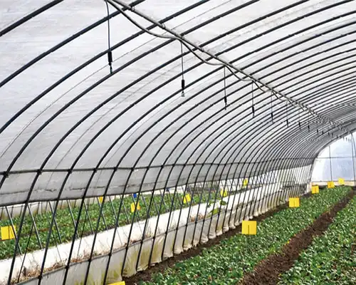 Potassium Acetate: A Cornerstone of Modern Agriculture