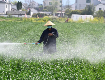 Can Potassium Acetate Be Used as a Fertilizer?