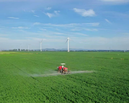 What are the components and functions of potassium acetate in fertilizers?