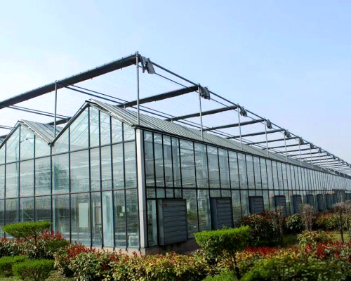 Application of Potassium Organic Acid for Greenhouse Crop Cultivation