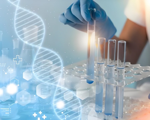 Application of pharmaceutical grade organic acid salt intermediates for antibiotic production